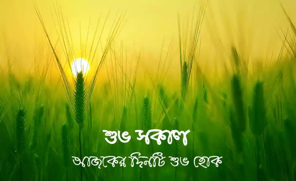 শুভ সকাল sms, কবিতা ও ছবি, Best Good Morning SMS Bangla
