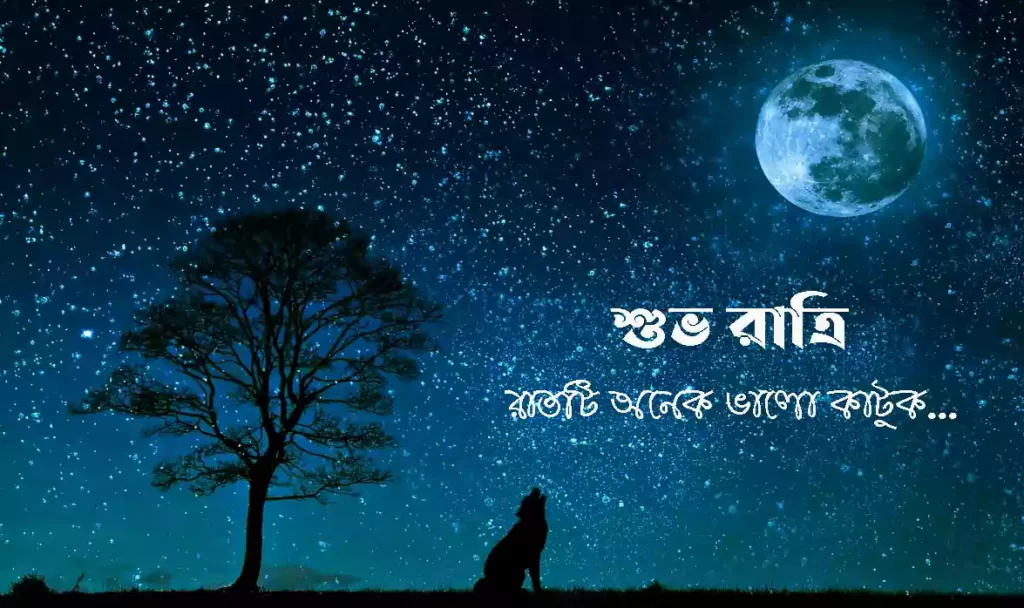 ইউনিক শুভ রাত্রি রোমান্টিক মেসেজ, কবিতা ও ছবি