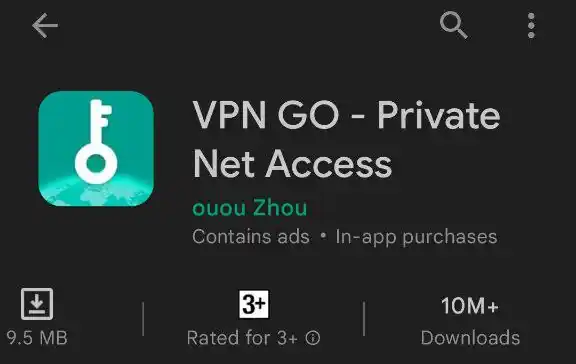 VPN GO