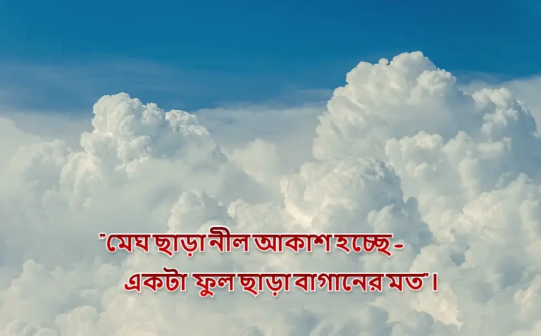 আকাশ নিয়ে ক্যাপশন (নীল, রোদেলা, মেঘলা, সন্ধ্যা ইত্যাদি ক্যাপশন)