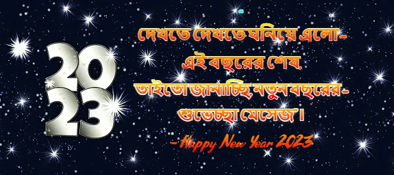 নতুন বছরের শুভেচ্ছা বার্তা, মেসেজ, স্ট্যাটাস | Happy New Year 2023 Wishes