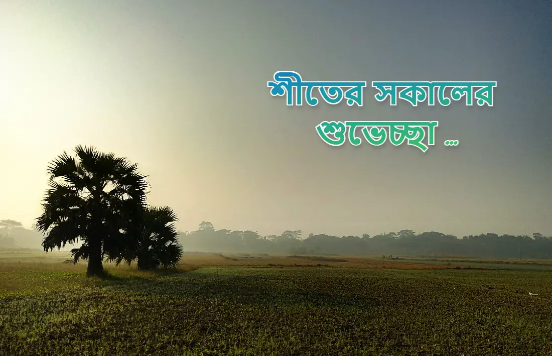 130+ শীতের সকাল স্ট্যাটাস, উক্তি, ক্যাপশন, এসএমএস ও ছবি